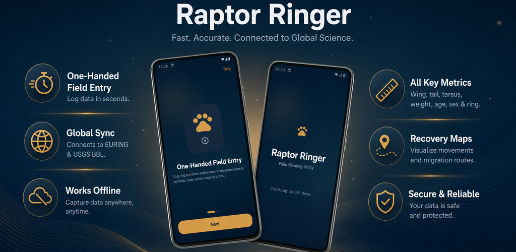 Raptor Ringer promotional banner