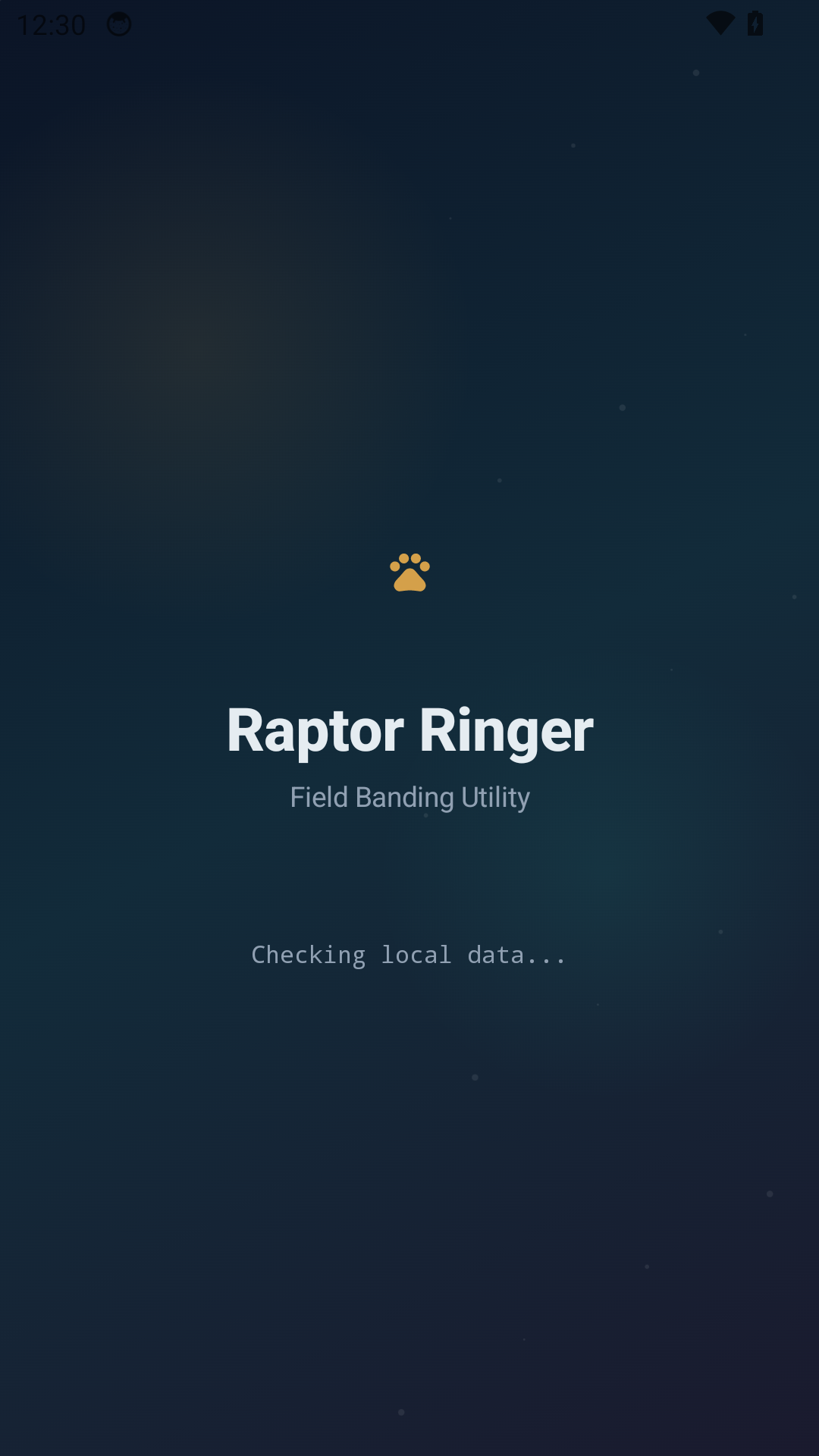 Raptor Ringer loading screen